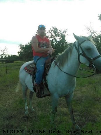 STOLEN EQUINE Deets, Bree, Newt and Spur  Near cache, OK, 73527